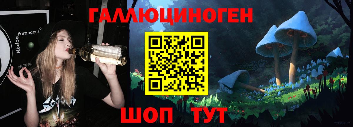 Псилоцибиновые грибы Psilocybe  Вход с VPN  Шали  Галлюциногенные грибы ЛСД 